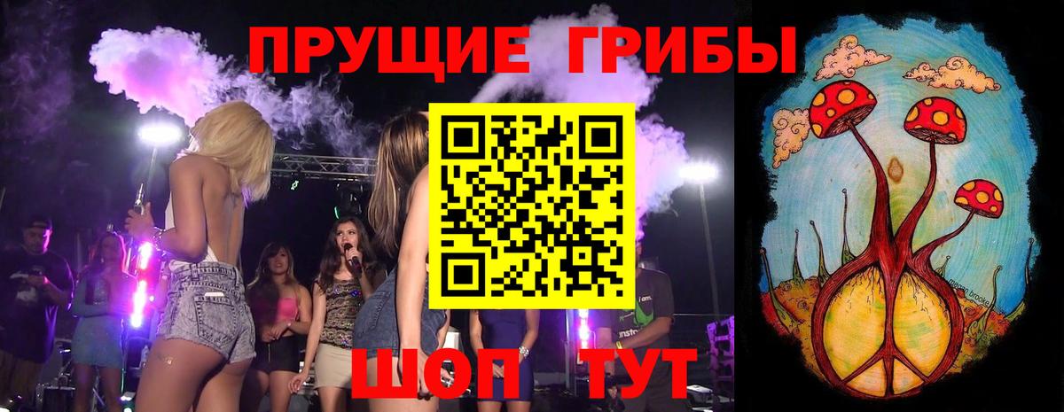 Псилоцибиновые грибы Cubensis  Псилоцибиновые грибы Psilocybine cubensis  Вход с VPN  Кандалакша 