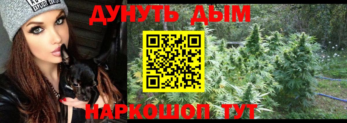 МАРИХУАНА семена  Каннабис Bruce Banner  Вход с VPN  Конопля индика  Кандалакша 